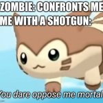 Furret you dare oppose me mortal? | ME WITH A SHOTGUN:; ZOMBIE: CONFRONTS ME | image tagged in furret you dare oppose me mortal | made w/ Imgflip meme maker
