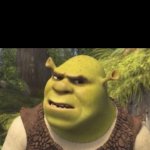 Shrek Concerned meme