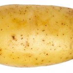 potato template