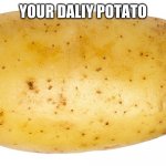 potato | YOUR DALIY POTATO | image tagged in potato | made w/ Imgflip meme maker