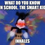 WELL WHAT | WHAT DO YOU KNOW IN SCHOOL. THE SMART KID; INHALES | image tagged in yakko's world,school,animaniacs | made w/ Imgflip meme maker