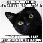 Hooman how many people you killing in your books?? Funny writer meme | HOOMAN YOU KILLING ANYONE IN YOUR BOOKS TODAY? HOW MANY FUNERALS ARE WE HAVING IN FICTION LAND??? | image tagged in black cats matter,meme,writing,writer,writer at work,die | made w/ Imgflip meme maker