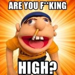 Are You F**king High?