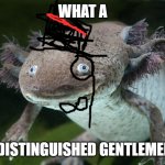 axolotl gentleman meme