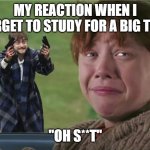 REMEMBER TO STUDY | MY REACTION WHEN I FORGET TO STUDY FOR A BIG TEST; "OH S**T" | image tagged in harry potter guns ron weasly | made w/ Imgflip meme maker