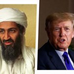 Osams Bin Trump