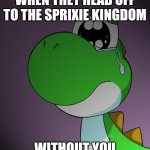 Mario 3D World, am I right? | WHEN THEY HEAD OFF TO THE SPRIXIE KINGDOM; WITHOUT YOU | image tagged in sad yoshi | made w/ Imgflip meme maker