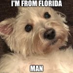 wtf | I'M FROM FLORIDA; MAN | image tagged in wtf | made w/ Imgflip meme maker