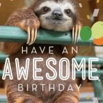 Sloth birthday