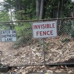 Visible Fence