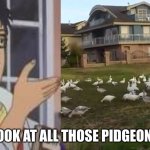 Look at all those pidgeons! | LOOK AT ALL THOSE PIDGEONS | image tagged in look at all those chickens,is this a pigeon | made w/ Imgflip meme maker