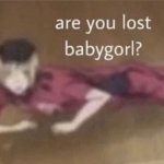 are you lost babygorl meme