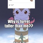 Whyyyy | Why is furret taller than me?? I’m 5’7”. | image tagged in giant furret,short,the scroll of truth | made w/ Imgflip meme maker