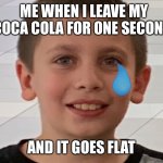 oof :( | ME WHEN I LEAVE MY COCA COLA FOR ONE SECOND; AND IT GOES FLAT | image tagged in i'm sorry what,relatable,annoying,coca cola,haha imagine still reading the tags | made w/ Imgflip meme maker
