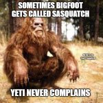 Chillin' Bigfoot | SOMETIMES BIGFOOT GETS CALLED SASQUATCH; MEME's by Dan Campbell; YETI NEVER COMPLAINS | image tagged in chillin' bigfoot | made w/ Imgflip meme maker