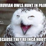 owl happy | PERUVIAN OWLS HUNT IN PAIRS; MEMEs by Dan Campbell; BECAUSE THEY’RE INCA HOOTS | image tagged in owl happy | made w/ Imgflip meme maker