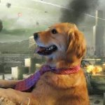 Dog in front of computer in front of war meme