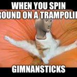 CAT WITH GYMNASTICS | WHEN YOU SPIN AROUND ON A TRAMPOLINE; GIMNANSTICKS | image tagged in cat with gymnastics | made w/ Imgflip meme maker