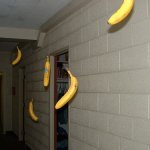 Flying bananas meme