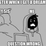 dream smp meme (: | MY SISTER WHEN I GET A DREAM SMP; MY SIS; ME; QUESTION WRONG | image tagged in dream smp | made w/ Imgflip meme maker