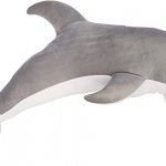 porpoise