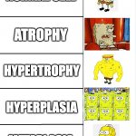 cellular response to injury | NORMAL CELL; ATROPHY; HYPERTROPHY; HYPERPLASIA; METAPLASIA | image tagged in biology,spongebob,hyperplasia,atrophy,hypertrophy,metaplasia | made w/ Imgflip meme maker