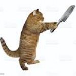 Knife cat
