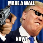 Donald Trump | MAKE A WALL NOW! | image tagged in donald trump | made w/ Imgflip meme maker