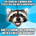 Not to mention going commando | YOU SHOW ME A WOMAN WHO STUFFS HER BRA WITH UNDERPANTS; AND I'LL SHOW YOU A WOMAN
 WITH A CHEST OF DRAWERS | image tagged in memes,lame pun coon | made w/ Imgflip meme maker