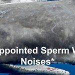 Disappointed Sperm Whale Noises template