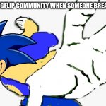 WHY DO PEOPLE BREAK CHAINS?!?! IT'S SO ANNOYING!!! | POV: THE IMGFLIP COMMUNITY WHEN SOMEONE BREAKS A CHAIN | image tagged in pepe punch sonic,chain,why would they do this,oh wow are you actually reading these tags,meanwhile on imgflip | made w/ Imgflip meme maker