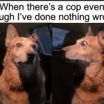 Run | When there’s a cop even though I’ve done nothing wrong | image tagged in nervous dog | made w/ Imgflip meme maker