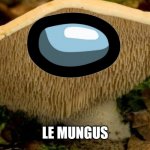 Le mungus | LE MUNGUS | image tagged in le mungus | made w/ Imgflip meme maker