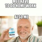 memes | ME I HAVE TO DO HOME WORK; ALSO ME | image tagged in memes | made w/ Imgflip meme maker