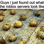 this true ngl | Guys i just found out what the roblox servers look like | image tagged in potato servers,roblox | made w/ Imgflip meme maker