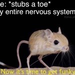 Now it’s time to get funky | Me: *stubs a toe* My entire nervous system: | image tagged in now it s time to get funky | made w/ Imgflip meme maker
