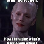 Perfect Likes | They will add to our perfection. How I imagine what's happening when I like a post with 12K likes. | image tagged in borg queen,star trek,memes | made w/ Imgflip meme maker