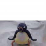 Surprised Pingu