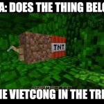 Why did I do this?! Day 1 | USA: DOES THE THING BELOW; THE VIETCONG IN THE TREE: | image tagged in 5 scariest booby traps of the vietnam war | made w/ Imgflip meme maker