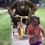 Little kid running from monkey