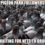Pigeon Park NTF | PIGEON PARK FOLLOWERS; WAITING FOR NFTS TO DROP | image tagged in pigeon war | made w/ Imgflip meme maker