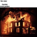 gender reveal parties | No one:; Gender reveal parties: | image tagged in house on fire | made w/ Imgflip meme maker