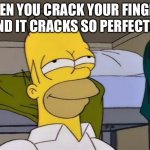Aaaaayup | WHEN YOU CRACK YOUR FINGERS AND IT CRACKS SO PERFECTLY | image tagged in homer satisfied | made w/ Imgflip meme maker