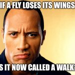 Doctor once told me | IF A FLY LOSES ITS WINGS; IS IT NOW CALLED A WALK? | image tagged in dwayne johnson | made w/ Imgflip meme maker