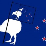 Kiwi flag