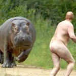 Hippocritical