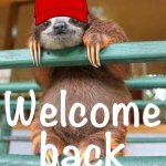 MAGA sloth welcome back