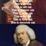 Dafuq did I just read | Are you over 40?  
Test your mental agility here:-

Read this out loud:

This is this cat.
This is is cat.
This is how cat.
This is to cat.
 | image tagged in dafuq did i just read | made w/ Imgflip meme maker