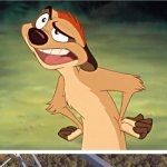 Timon is Angry