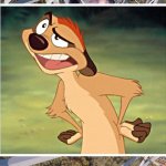 Timon meme